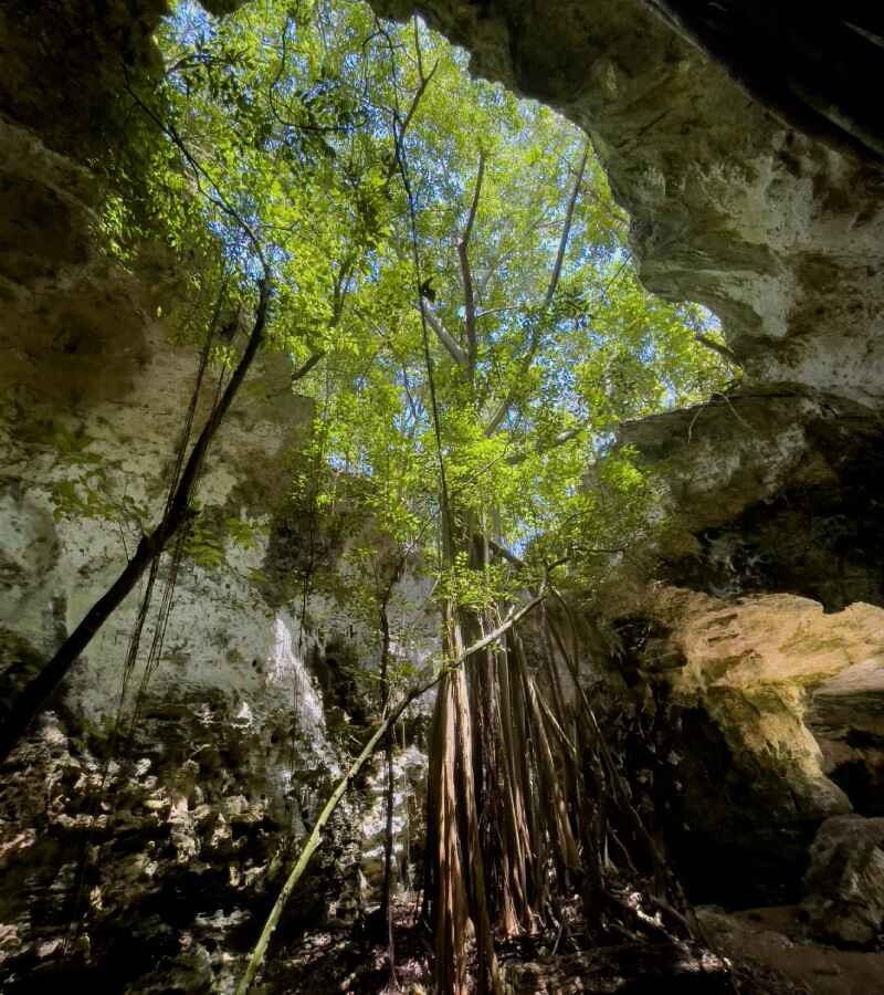Captured Moments - Cape Eleuthera