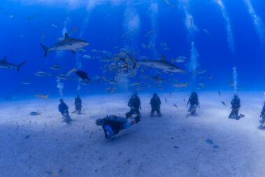 Captured Moments - Cape Eleuthera